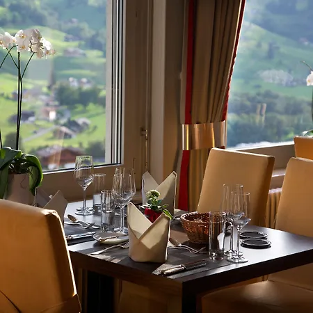 Belvedere Swiss Quality