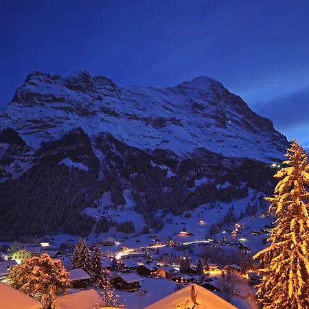 ホテル ベルヴェデーレ スイス クオリティ 4*