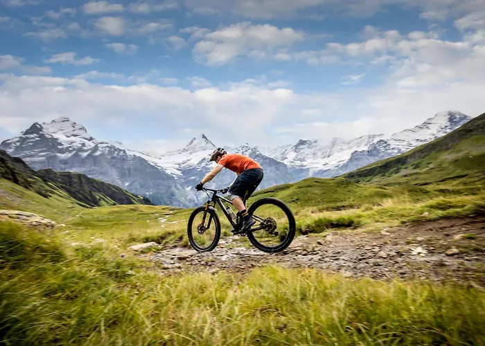 Belvedere Swiss Quality Grindelwald