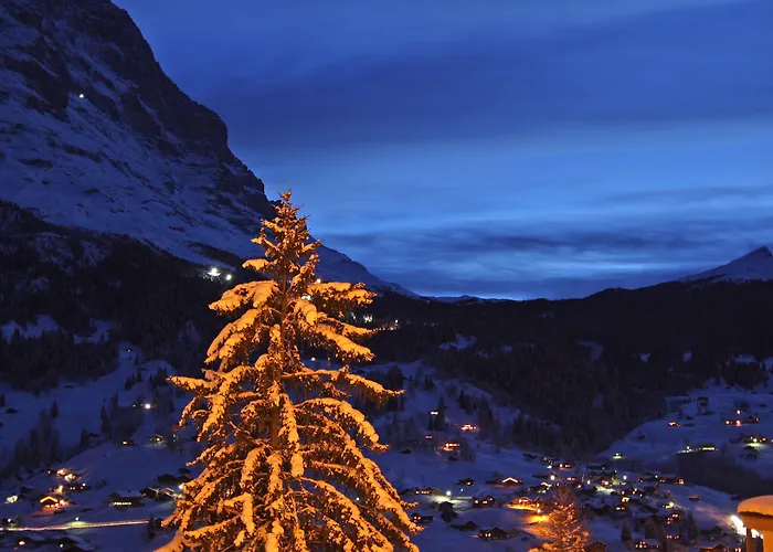 Hotell Belvedere Swiss Quality 4*