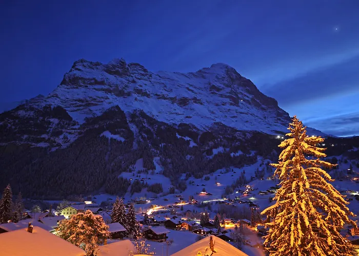 Hotell Belvedere Swiss Quality 4*