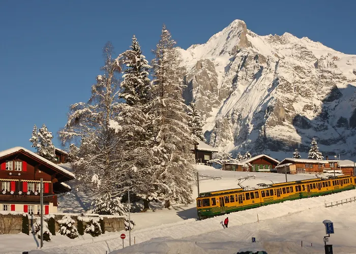 Hotell Belvedere Swiss Quality