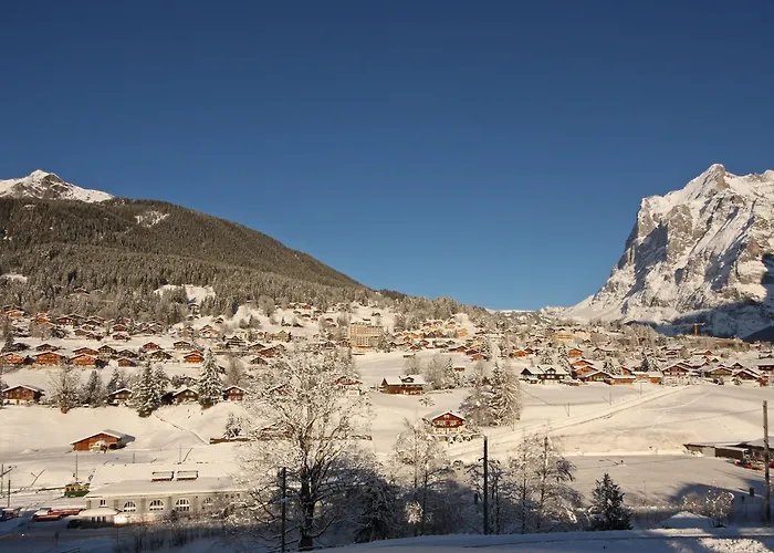 Belvedere Swiss Quality