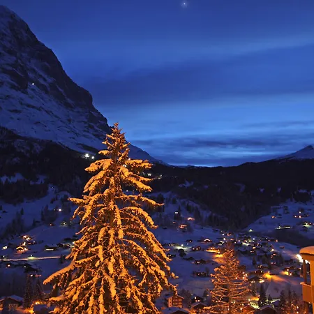 Hotell Belvedere Swiss Quality 4*