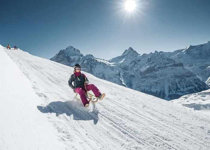 ベルヴェデーレ スイス クオリティ 4*