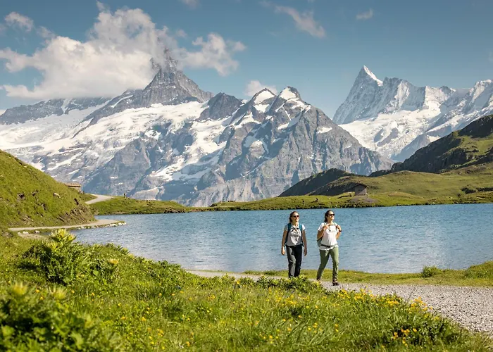 ホテル ベルヴェデーレ スイス クオリティ 4*