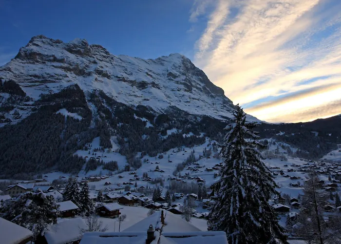 Hotel Belvedere Swiss Quality 4*